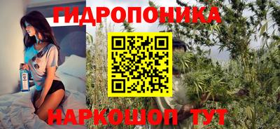 индика Аша