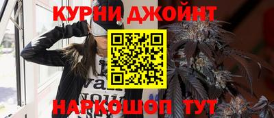 индика Аша