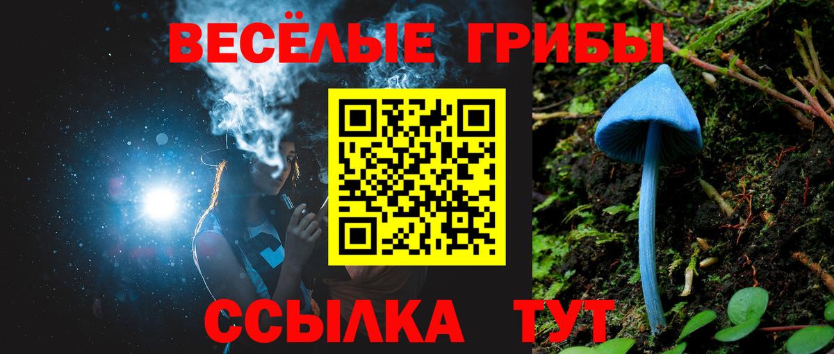 Галлюциногенные грибы мухоморы Татарск