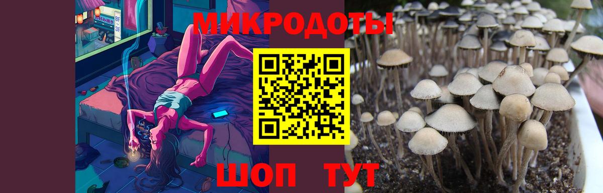 наркота  Вход с VPN  Татарск  Галлюциногенные грибы прущие грибы 